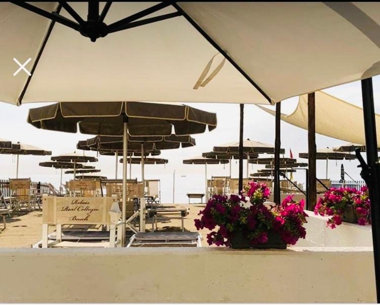 فندق Relais Real Collegio نولي المظهر الخارجي الصورة